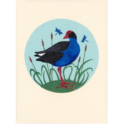 Pukeko