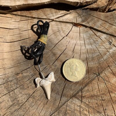 Fossil Sharks Tooth – Pendant