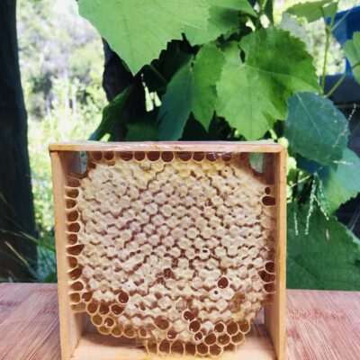 Kanuka Honey Comb In Wooden Frames